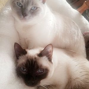 Meet your Posher, Morgan